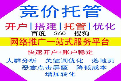 百度竞价推广在电商领域的赚钱案例